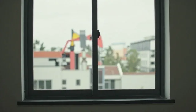 宠物造型设计中健康因素的选型关注点