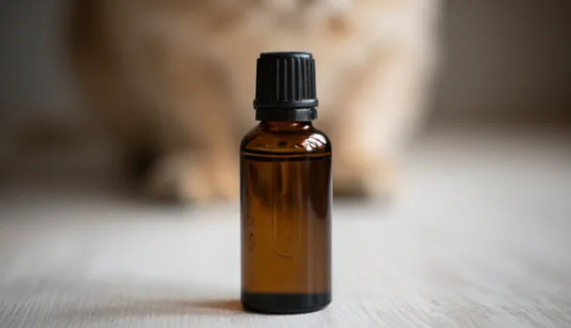 宠物护理精油如何正确使用？